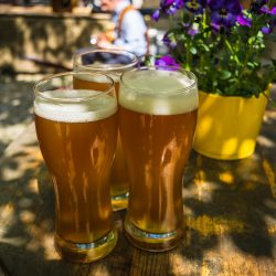 What’s On In The Lake District: April