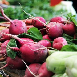 What’s On in the Lake District in March