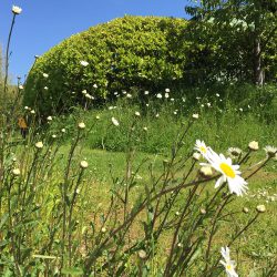 What’s On in May