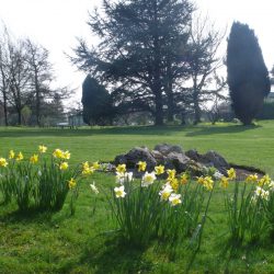 Hawthorns Park: March – April in Photos