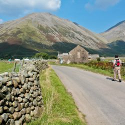 What’s On in July