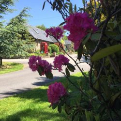 June In Pictures