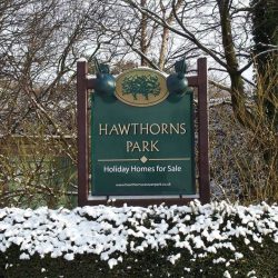 Get in the Christmas Spirit with these Events