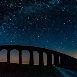 November In Pictures