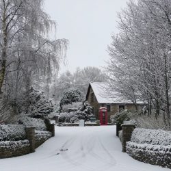 Hawthorns Monthly Roundup: January