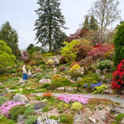 In the spotlight: Holehird Gardens, Lake District