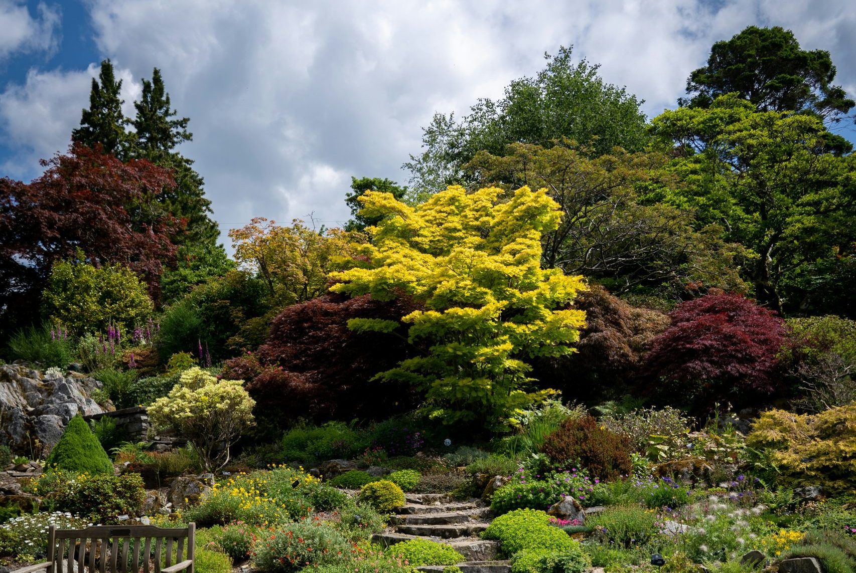 holehird gardens in windermere