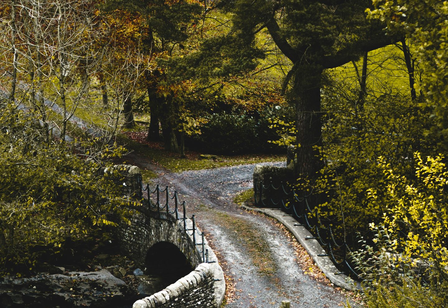 Dentdale