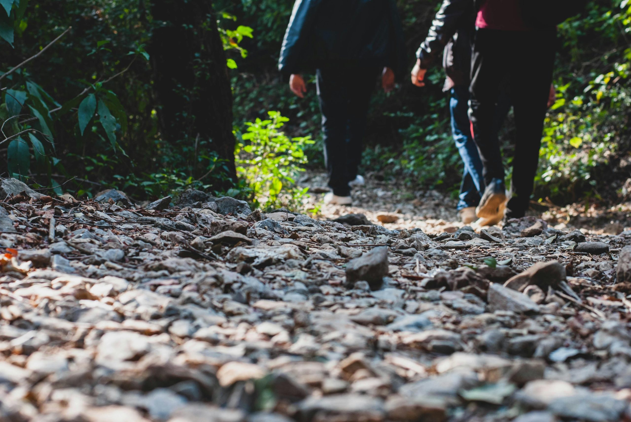 scenic walking trails in forest of bowland